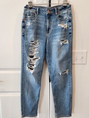 American Eagle Outfitters Light Blue Distressed Skinny Jeans